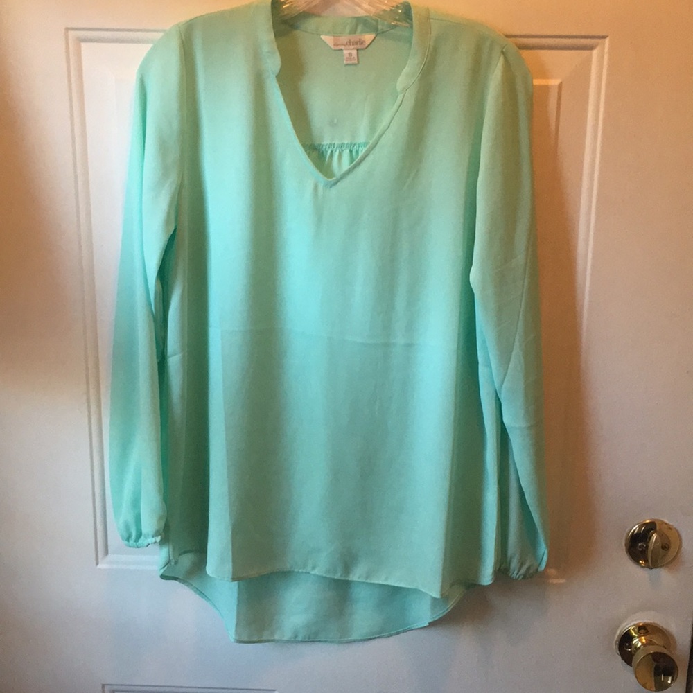 Teal blouse